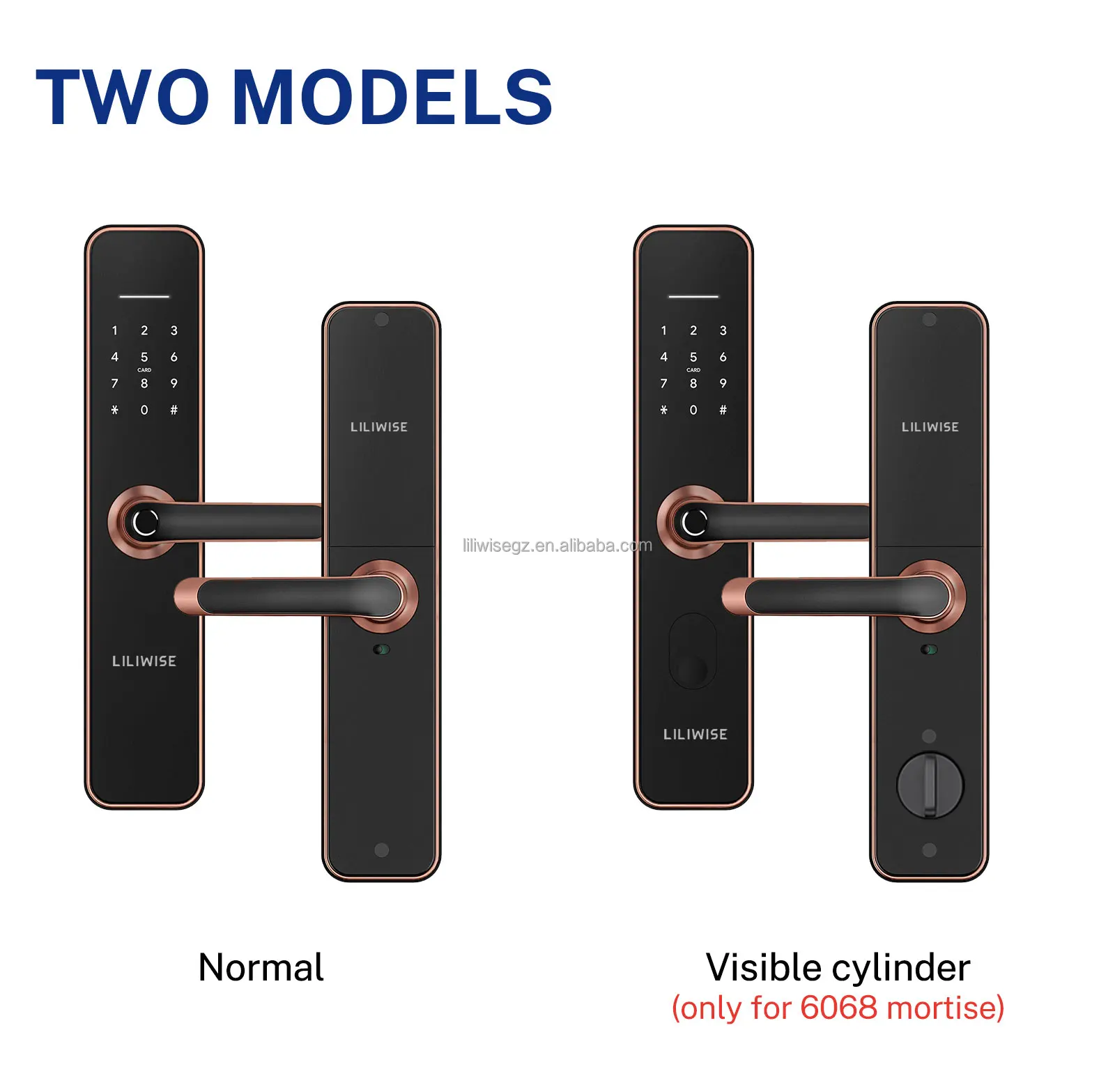 Liliwise Waterproof Outdoor Smart Door Lock with 6V Battery 35-75mm Door Thickness and 200 Fingerprint Capacity