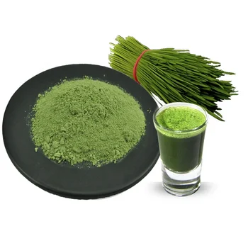 Natural Barley Grass Powder Chinese supplier Enhance immunity Organic Green Barley Grass Juice Powder