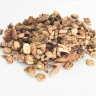 Herbal Product 2020 Hot Sale Banlangen ISATIDIS RADIX Isatis Indigotica Chinese Herbs Herbal Product Banlangen