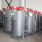 Gas Generator Gas Steam Generator 500kg Gas Induction Steam Generator