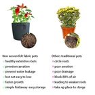 Banana Grow Aeration Container Garden Vegetables Flower Banana Grow Bag 10 Gallon Tomato Growing Bag