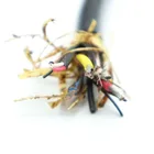 Manufacturing Bespoke Submersible Umbilical Cable For Underwater Robot