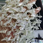 Beads Loose Wholesale Natural Shell Making Peace Dove Beads Fashion Diy Jewelry Loose Gem Material
