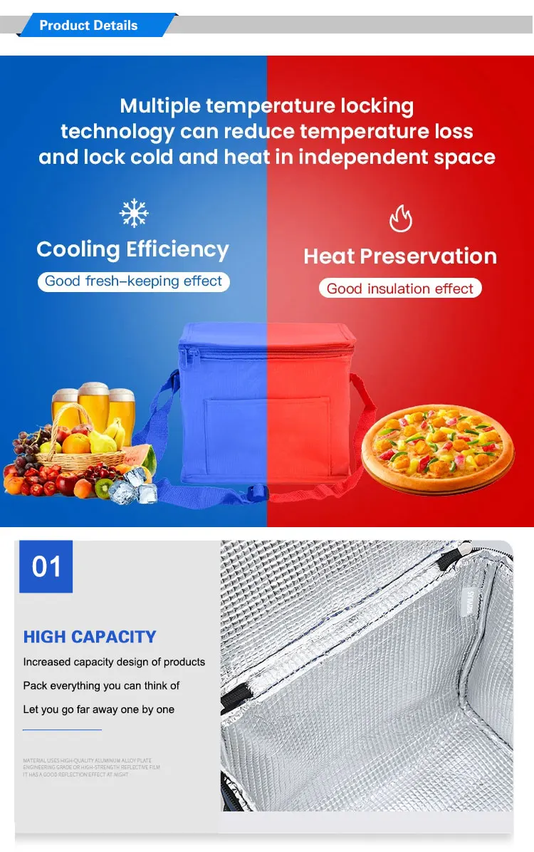 insulated lunch cooler bag