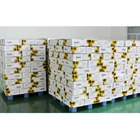 Oil Sunflower Chinese Top Quality White Bulk Confectionery Bakery Grade Oil Sunflower Seed Kernels
