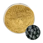 Manufacturer Promotion Of High Quality Heat Resistant Pollution Free Coal Briquette Binder