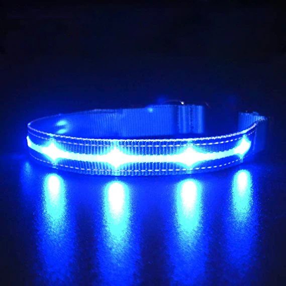 light up pet collar