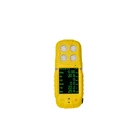 Natural Multi CD4 Natural Gas Detector Multi Parameter Tester Gas Detector