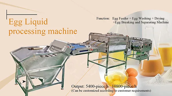 Multifunctional Automatic Egg Cleaner Classifier Grader Machine Small Egg Washing Grading Machine With Low Price supplier