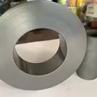 Ring Manufacturer Custom High Strength Carbon Sealing Graphite Ring