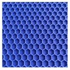 Mat Red Non Slip Rubber Base High Quality Wholesale In Stock Disinfection Mat