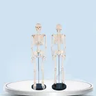 Model Model Model 85CM 200 Bones High Simulation Movable Biological Teaching Human Body Skeleton Model