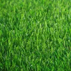 Garden Carpet Garden Turf Artificial Carpet Grass Rug Outdoor Synthetic Artificial Grass