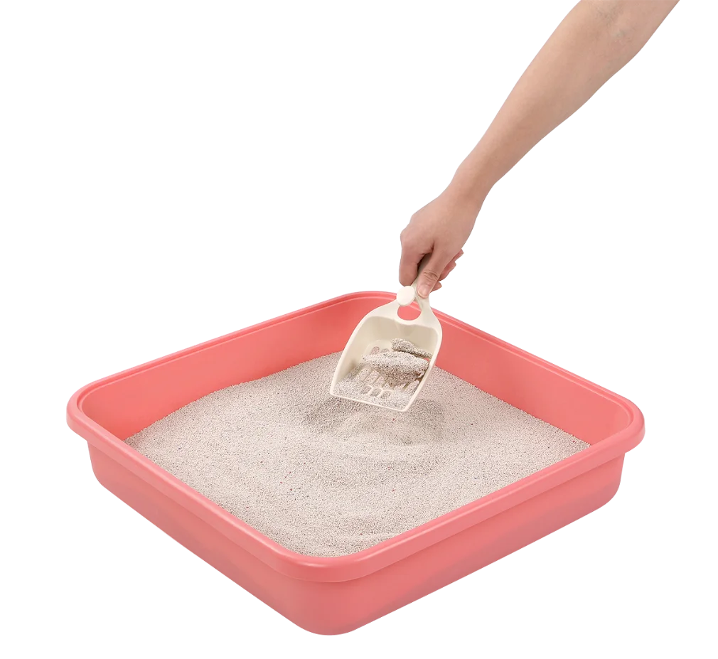 cat litter box with tunnel