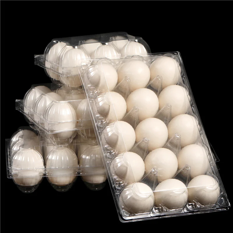 Custom Transparent Disposable Pet Eggs Tray Plastic Blister Box Egg