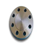 Flange Din Carbon Steel Flange A105 Blind DIN Flange