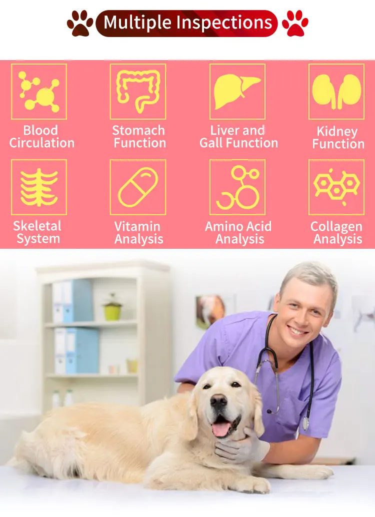 JYTOP Pets Health Biochemical Analysis With Software New PET Scanner Quantum Animal Tester for DOG and CAT