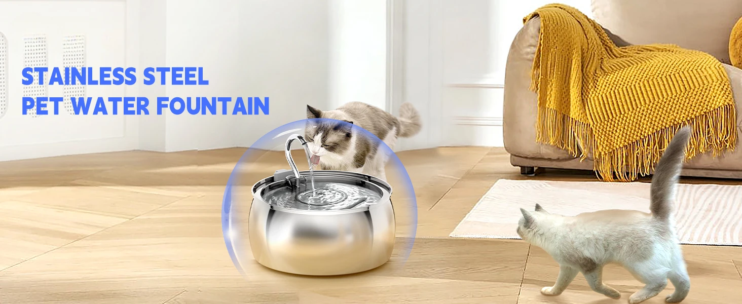 cat water fountain