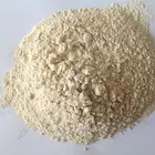 Wheat Wheat Bakery Food Ingredients 82% Vital Wheat Gluten Food Grade