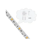 Led Led Led Strip Distributor Colorful 60LEDS 5050RGBW LED Strip IP20 24V 10mmPCB