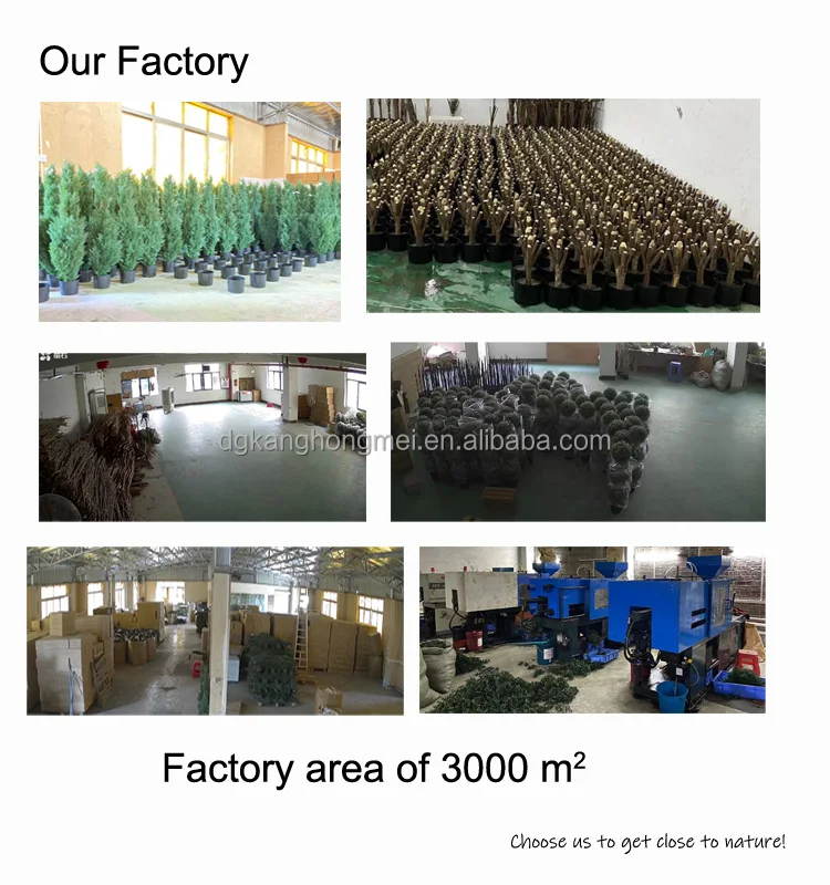 our factory