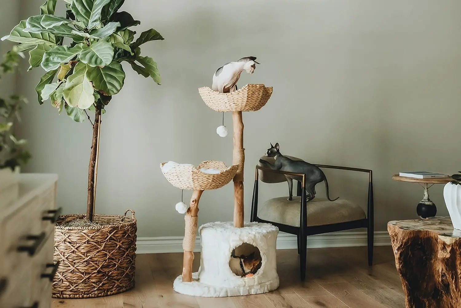 Custom Modern Luxury Cat Tower for Large Cats Real Branch Wood Cat Scratching Tree