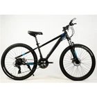 Bicycle Hot Selling F R Disc Brakes Adult Road Bicycle For Man Adult