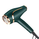 Professional 2000W Lightweight Professional Salon Most Powerful BLDC Motor Hair Dryers