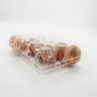 Disposable Egg Tray Plastic Disposable Trays Wholesale Customized Order Disposable Plastic Blister Quail Egg Tray