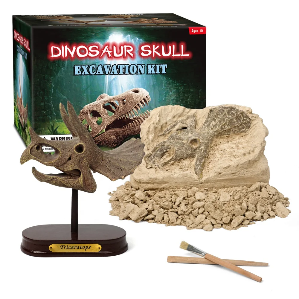 Dinosaur Skull Dig Kit Archaeology Triceratops with Display Stand 