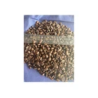 Robusta Best Selling Quality Promotion Hot Sale Vietnam Robusta Coffee AA-Class 17mu Raw Coffee Bean