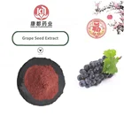 Factory Supply Grape Seed Extract Powder -- Proanthocyanidins 95% Powder