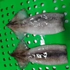 Seafood Sale High Quality Wholesale Sea Frozen Squid Frozen Fish Seafood