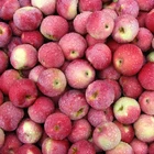China Fresh High Mountain Organic Selenium-enriched Red Fuji