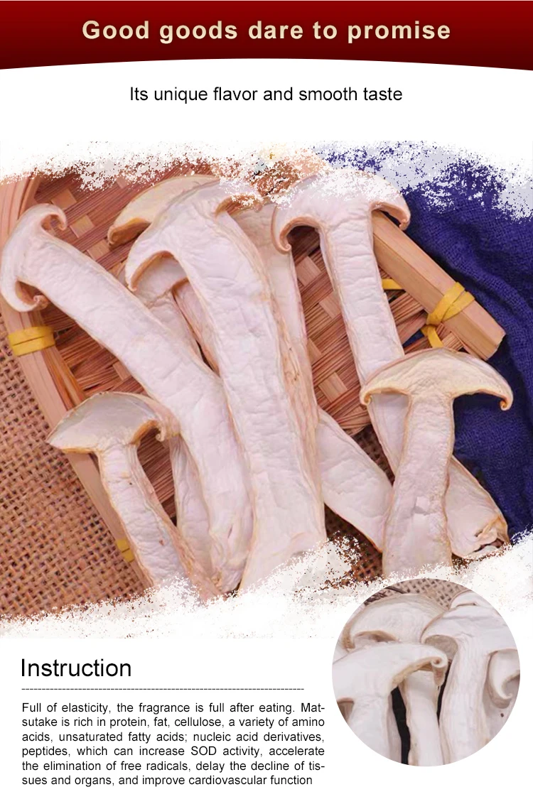 Yunnan High Quality Frozen Matsutake Mushroom Low Price Wild Tricholoma Matsutake Buy