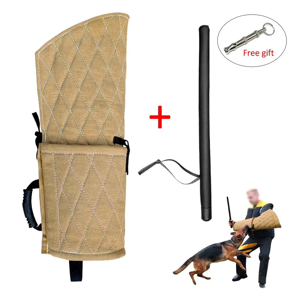 pitbull training equipment