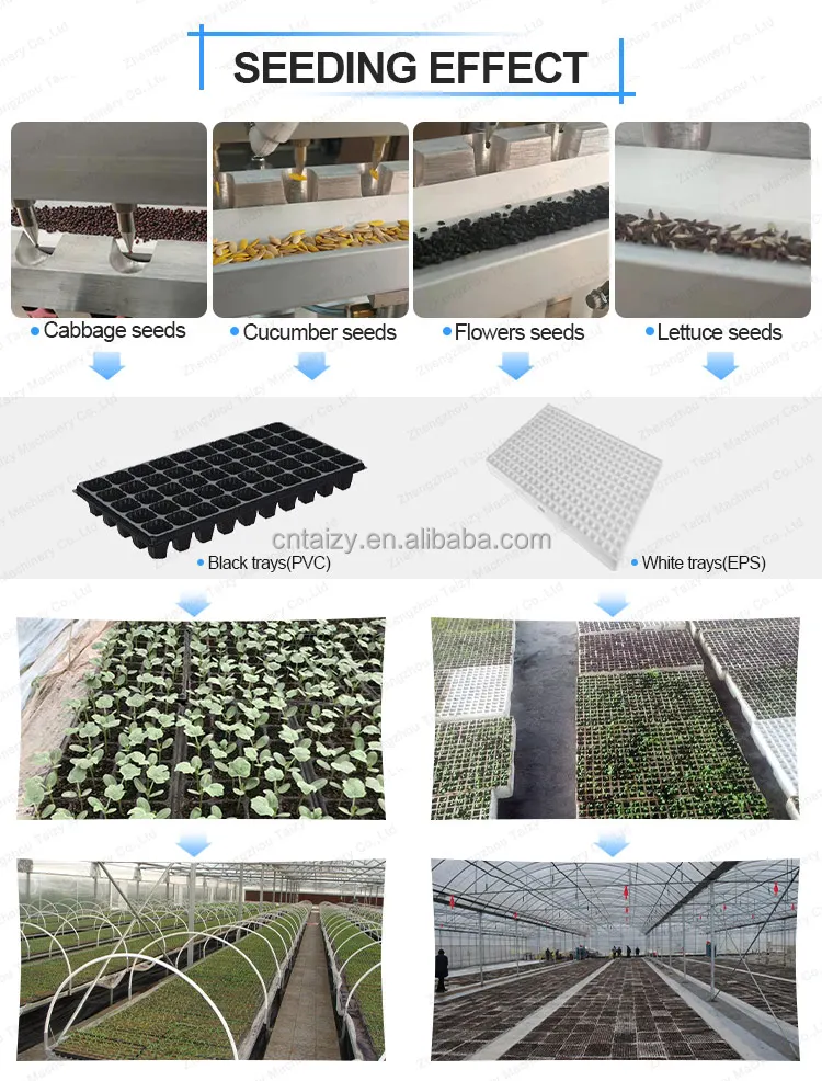 tray hand seeder greenhouse lettuce cabbage onion pumpkin seeders