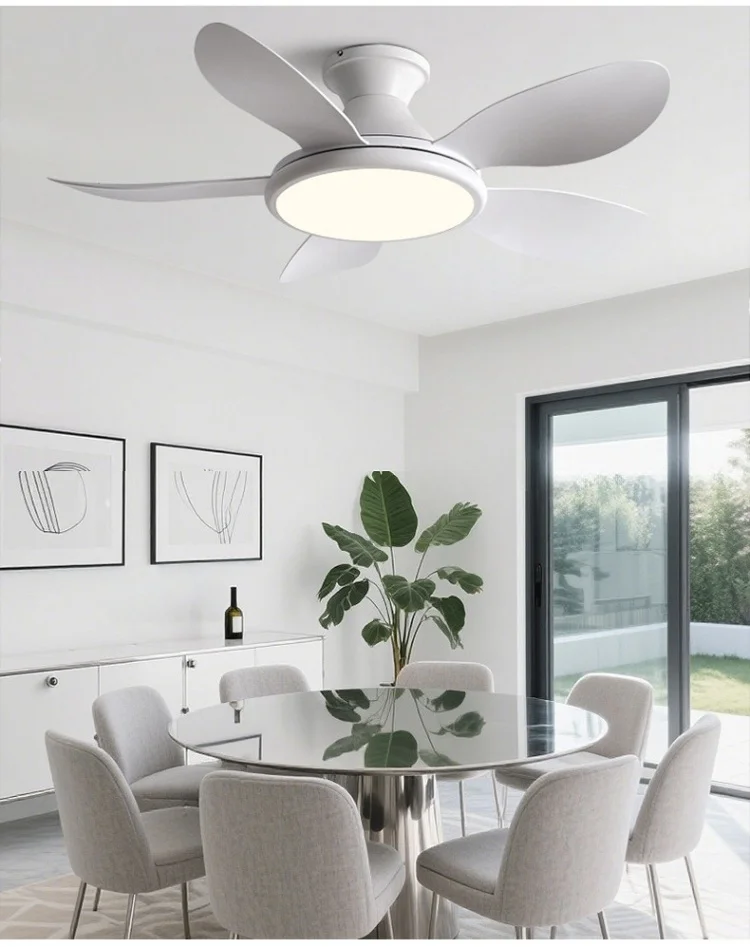Ceiling Fan, BLDC, LED, 3ABS - detail 20