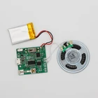 Usb Mp3 Customized Embedded Sound Usb Module Mp3 For Gifts