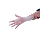 Vinyl Gloves PVC Disposable Vinyl Gloves Powder Free Food Grade Customized