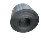Cold Steel Strip Stainless Strip Cold Rolled Stainless Steel Strip