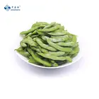 Frozen Sinocharm BRC A Approved IQF Taiwan 75 Edamame Pod Frozen Edamame Pod