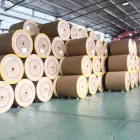 Rolls PP Composited Wood Pulp Washi Paper Rolls For Sell