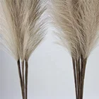 Wedding Decorative 120cm Multicolor Small Artificial Faux Pampas Grass