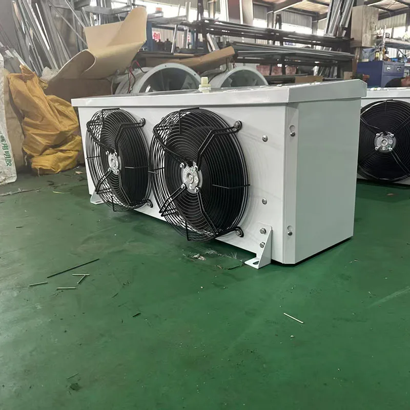 Freezing Room Evaporator, 220V, 2*145W - detail 14