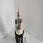 Copper Core Insulated Pvc Sheathed Cable Copper Core XLPE Insulated PVC Sheathed Armoured 3*35mm+1 Power Cable