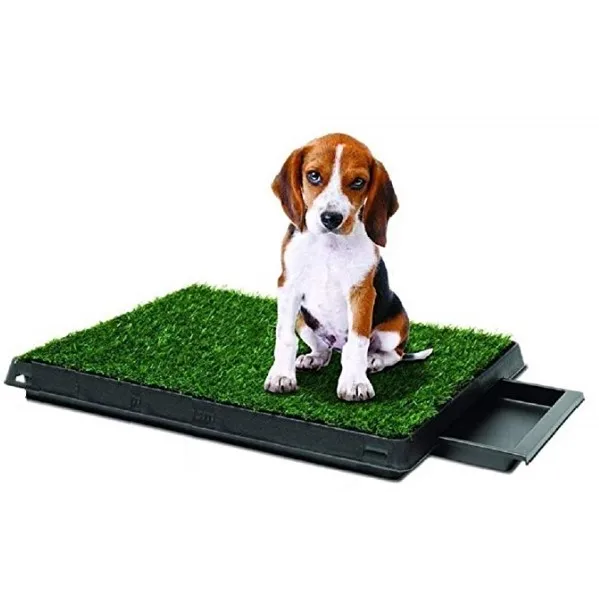 grass mat for cats
