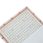 Light Led Flood Light 30W Economic Model 2 Years Warranty Non-isolation Driver ISO9001:2015