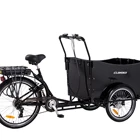 Wheels 3 Wheel Cargo Bike Electric 3 Wheel 2021 Electric 2 Front Wheels 3 Wheel Tricycle Cargo Bikecargo Bike