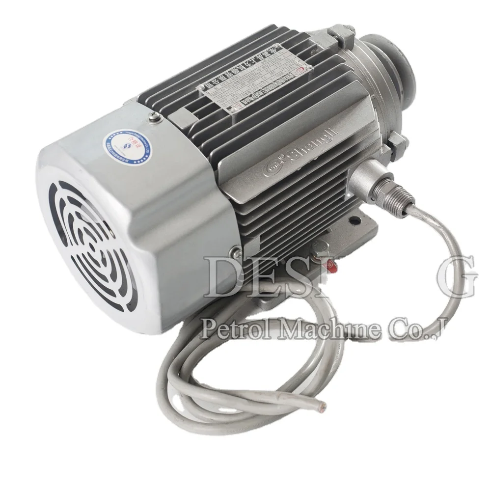 DS Fuel Dispenser Motor 220V anti-explosion fuel dispenser motor